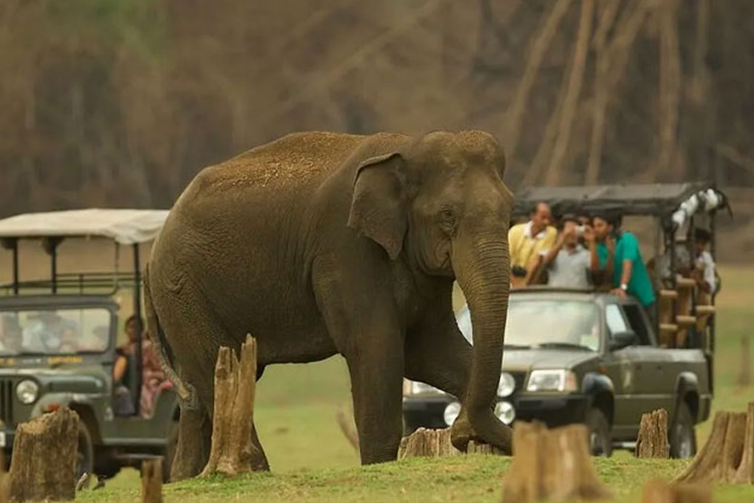 Nagarhole National Park