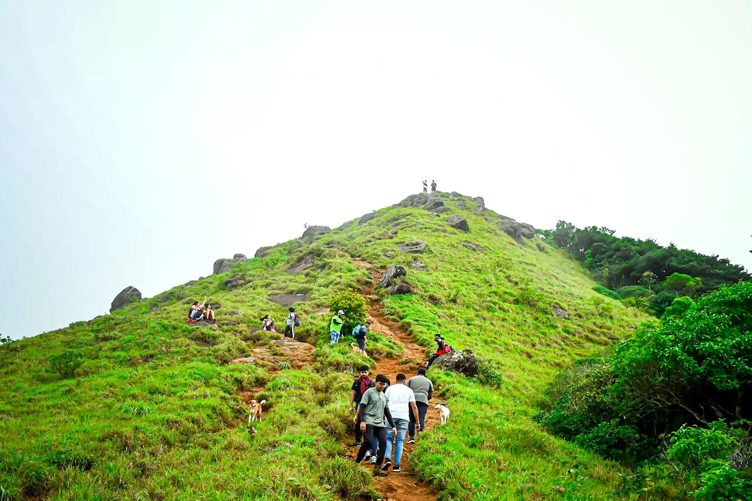 Tadiandamol Peak